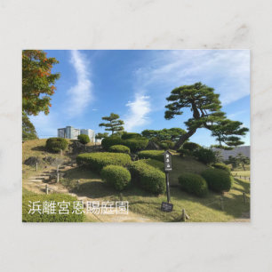 Carte Postale Colline du jardin japonais