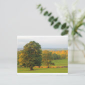 CARTE POSTALE COLLINE GALLOWS (Debout devant)