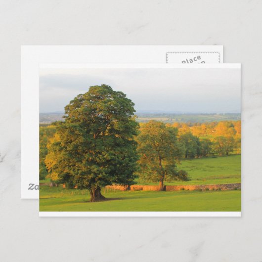 CARTE POSTALE COLLINE GALLOWS (Devant / Derrière)