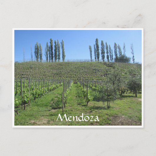 Carte Postale colline mendoza (Devant)