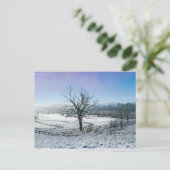 Carte Postale Collines couvertes de neige d'Ozark (Debout devant)