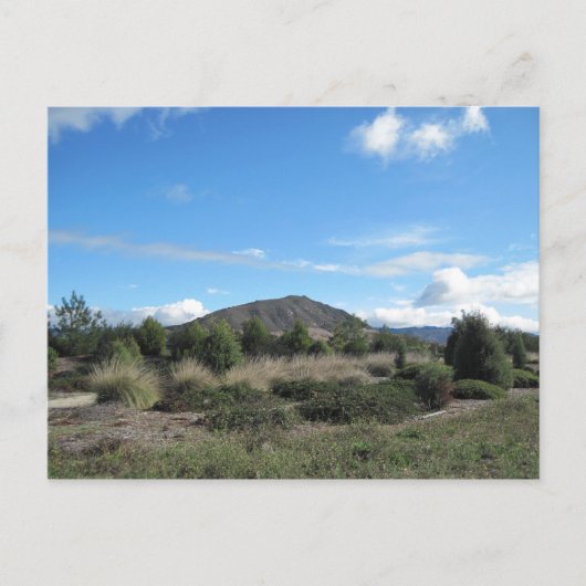 Carte Postale Collines de San Luis Obispo sur Los Osos Road (Devant)