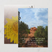 Carte Postale Collines en été (Devant / Derrière)