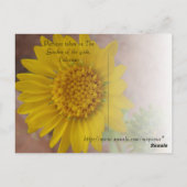 Carte Postale Collines en été (Dos)