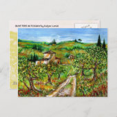 CARTE POSTALE COLLINES VERTES ET OLIVIERS DANS LE PAYSAGE TOSCAN (Devant / Derrière)