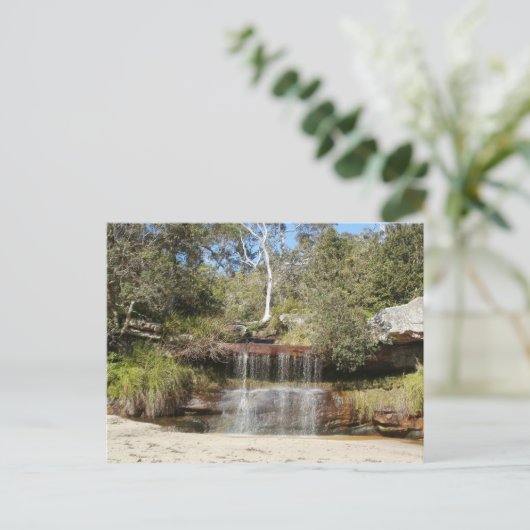 Carte Postale Collins Beach (Debout devant)