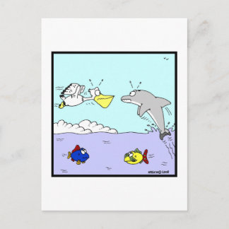 Carte Postale Collision : Dauphin et pélican