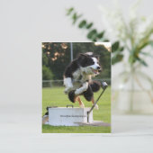 Carte Postale collision frontalière à flyball (Debout devant)