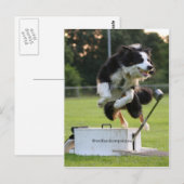 Carte Postale collision frontalière à flyball (Devant / Derrière)