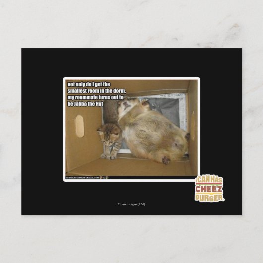 Carte Postale colocat de graisse (Devant)