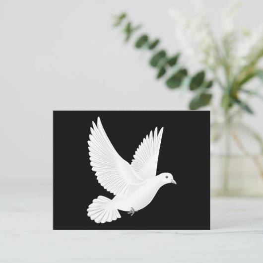 Carte Postale colombe blanche (Debout devant)