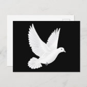 Carte Postale colombe blanche (Devant / Derrière)