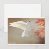 Carte Postale colombe blanche (Devant / Derrière)