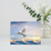 Carte Postale colombe blanche en vol (Debout devant)