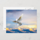 Carte Postale colombe blanche en vol (Devant / Derrière)
