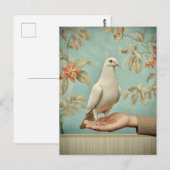 Carte Postale Colombe blanche paisible (Devant / Derrière)