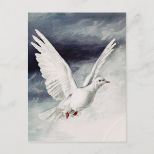 Carte Postale Colombe du Saint-Esprit Confirmation et Paix Relig