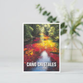 Carte Postale Colombia Cano Cristales Travel (Debout devant)