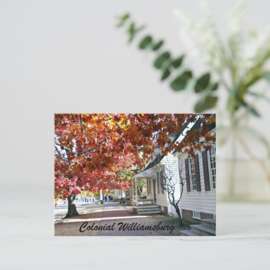 Carte Postale Colonial Williamsburg (Debout devant)