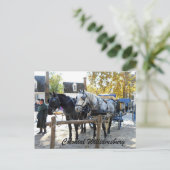 Carte Postale Colonial Williamsburg (Debout devant)