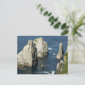 Carte Postale Colonies d'oiseaux marins Chowiet, Alaska (Debout devant)