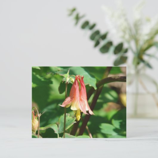 Carte Postale Colonne (Debout devant)