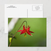 Carte Postale Colonne 01 (Devant / Derrière)