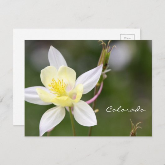 Carte postale Colonne blanche (Devant / Derrière)