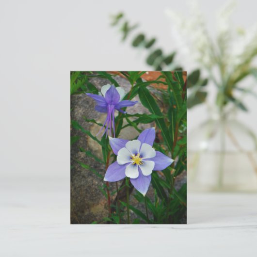 Carte Postale Colonne bleue (Debout devant)