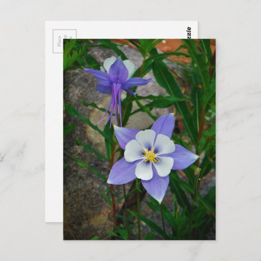 Carte Postale Colonne bleue (Devant / Derrière)