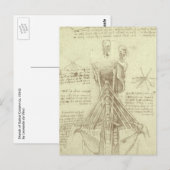 Carte Postale Colonne de colonne vertébrale de l'anatomie humain (Devant / Derrière)