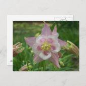 Carte Postale Colonne rose (Devant / Derrière)