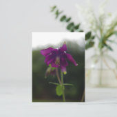 Carte postale Colonne violet (Debout devant)