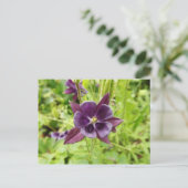 Carte Postale Colonne violette (Debout devant)
