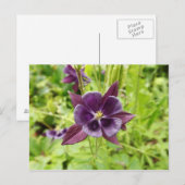 Carte Postale Colonne violette (Devant / Derrière)