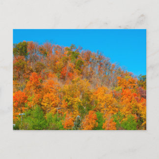 Carte Postale Colonnes d'automne à flanc de colline, Indiana Sud