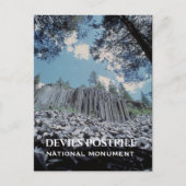 Carte Postale Colonnes de basalte, Devils Postpile Monument Nati (Devant)