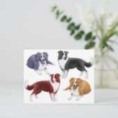 Carte postale Colonnes frontalières (Debout devant)