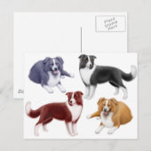 Carte postale Colonnes frontalières (Devant / Derrière)