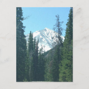 CARTE POSTALE COLORADO