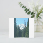 CARTE POSTALE COLORADO (Debout devant)