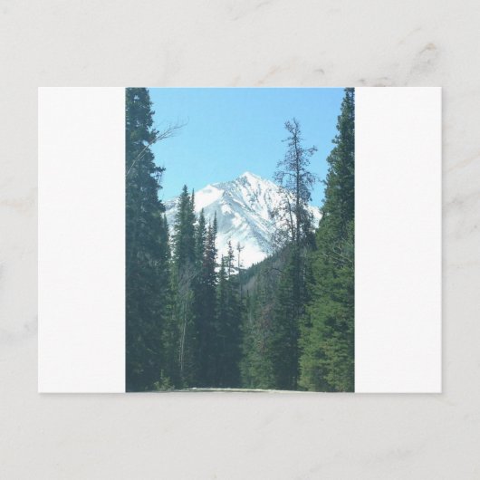 CARTE POSTALE COLORADO (Devant)