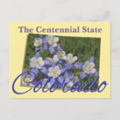 Carte postale - COLORADO (Devant)