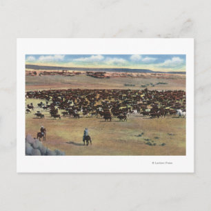 Carte Postale Colorado - Arrondissement de Cowboys