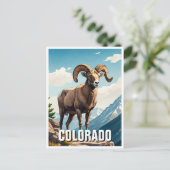 Carte Postale Colorado Bighorn moutons voyage souvenir (Debout devant)