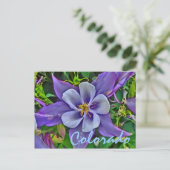Carte postale Colorado columbine (Debout devant)