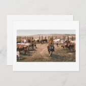 Carte Postale Colorado Cowboy 1904 (Devant / Derrière)