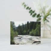 Carte Postale Colorado Mountain River Stationnaire (Debout devant)