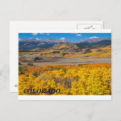 Carte Postale Colorado Pittoresque Foliage (Devant / Derrière)