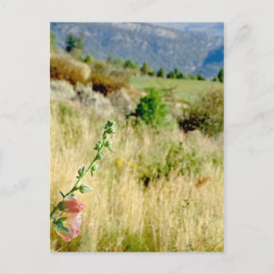 Carte Postale Colorado Septembre